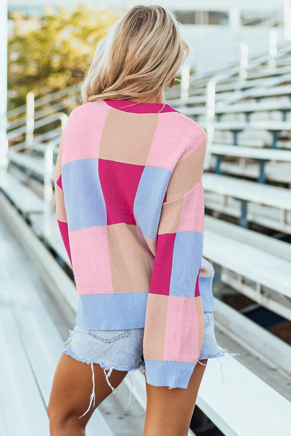 Color Block Crewneck Loose Fit Sweater