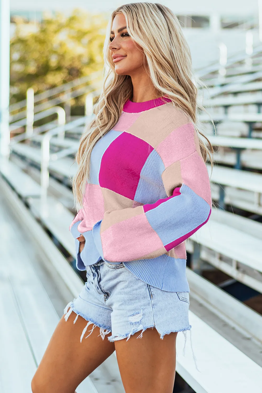Color Block Crewneck Loose Fit Sweater