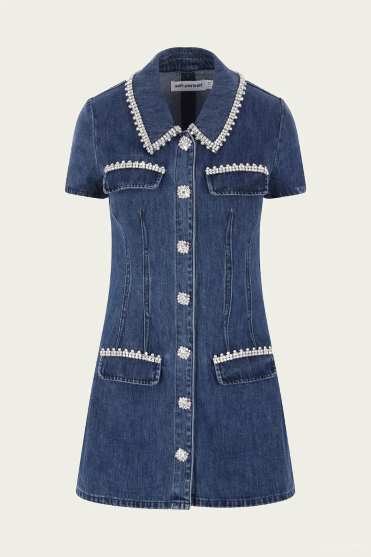 Denim Collared Mini Dress