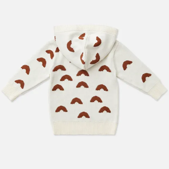 Knit Hooded Sweater - Rainbow