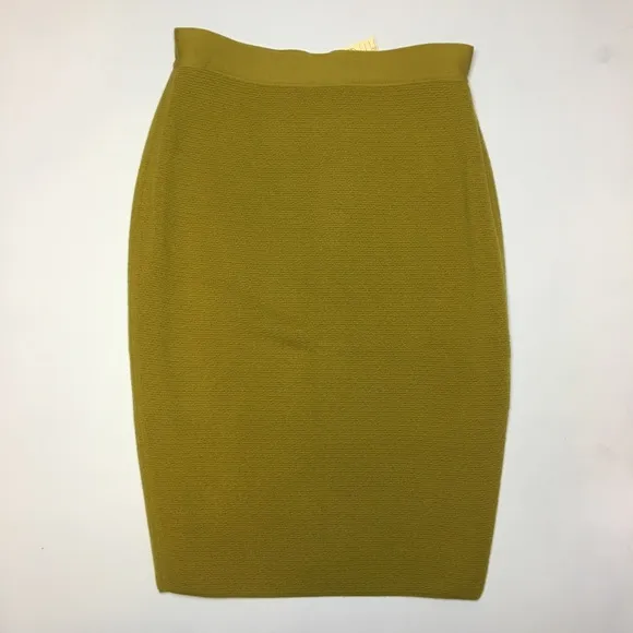 NWT Merino Wool Pencil Skirt