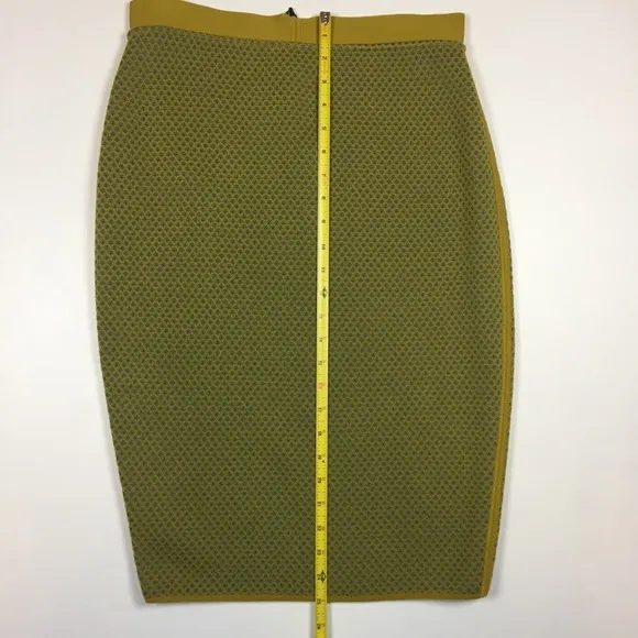 NWT Merino Wool Pencil Skirt