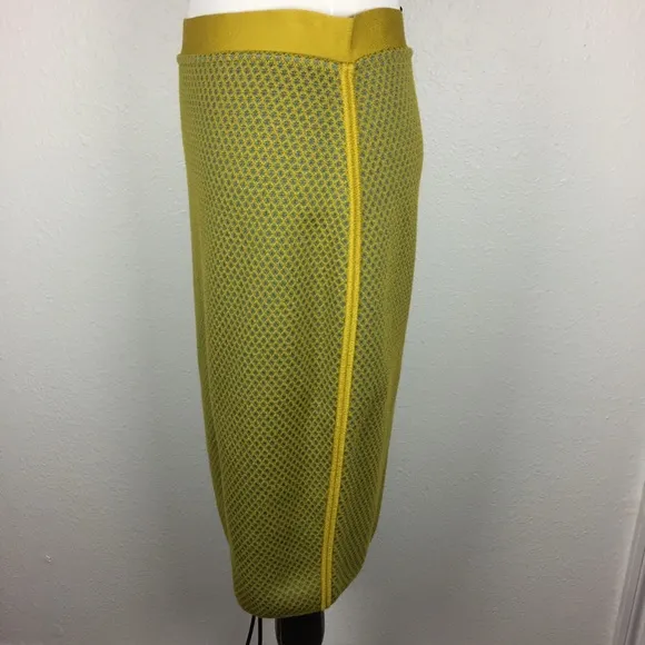 NWT Merino Wool Pencil Skirt