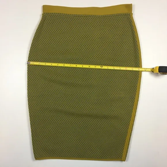 NWT Merino Wool Pencil Skirt