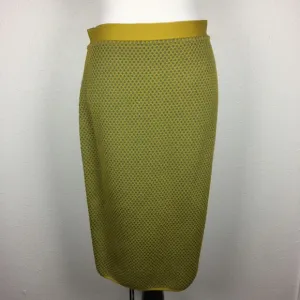NWT Merino Wool Pencil Skirt
