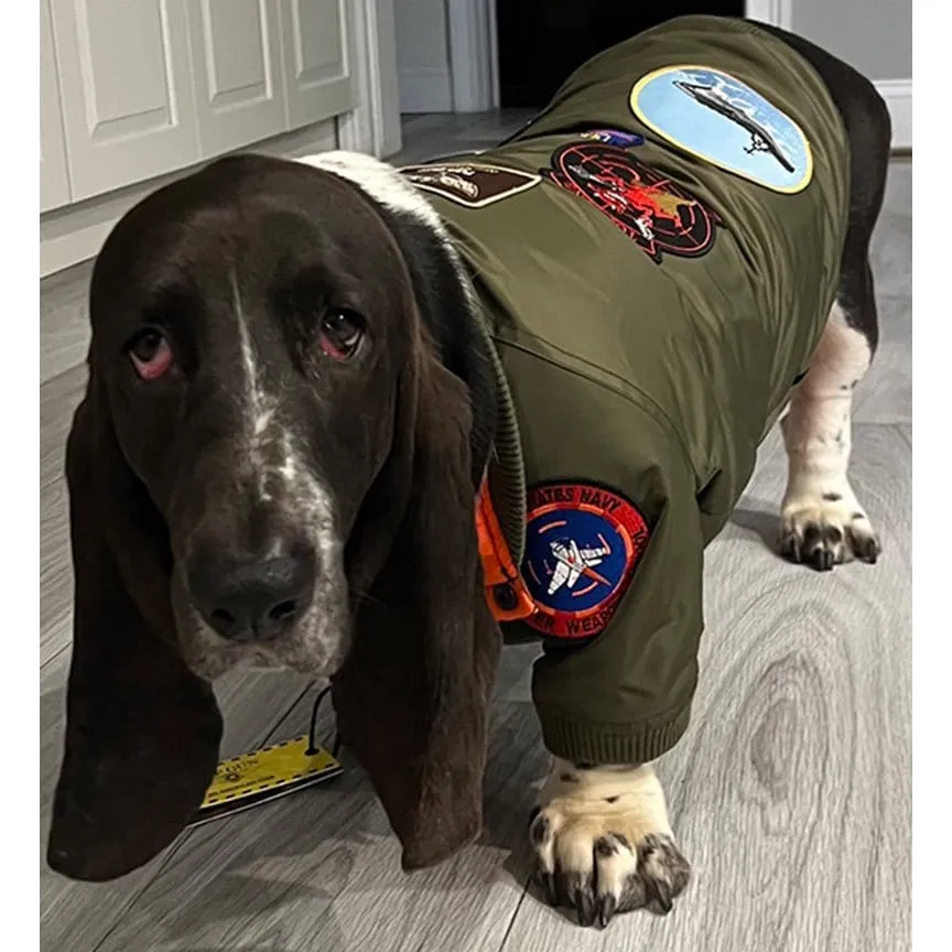 Top Gun® Official Dog Bomber Jacket