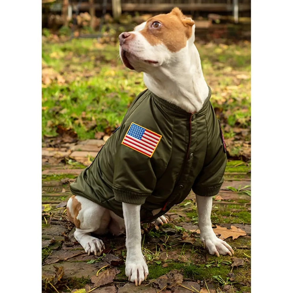 Top Gun® Official Dog Bomber Jacket
