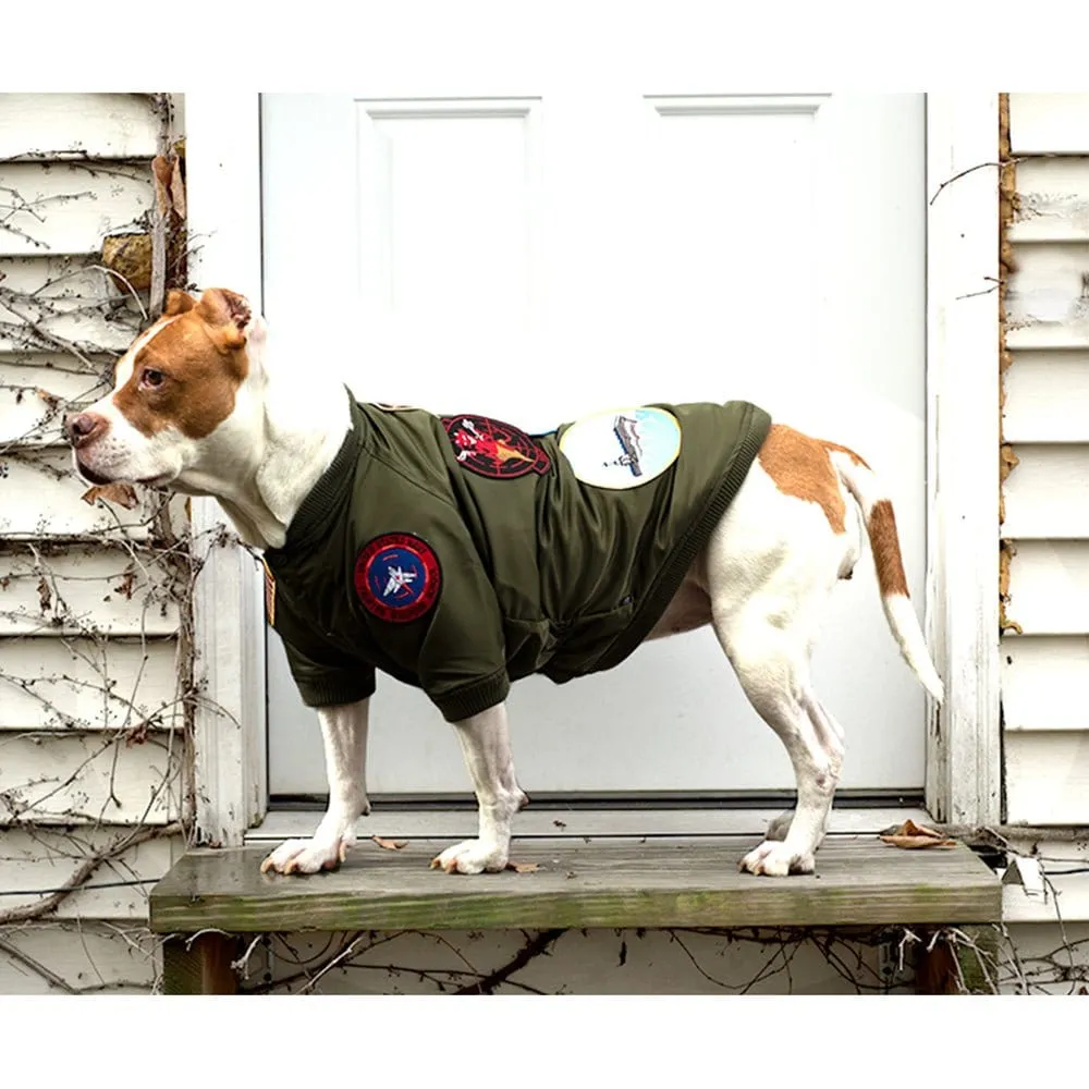 Top Gun® Official Dog Bomber Jacket
