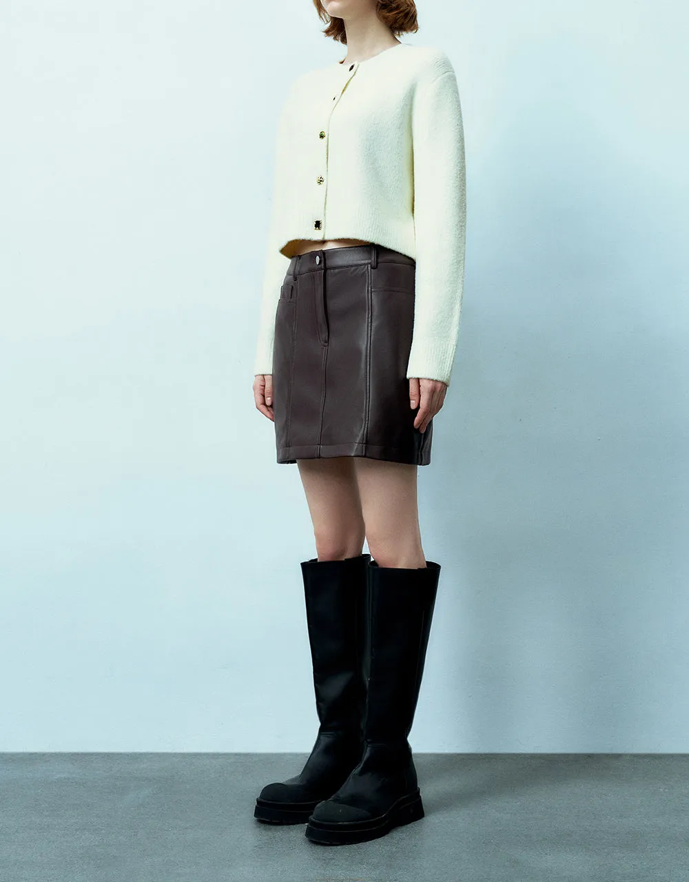 Vegan Leather Mini A-Line Skirt