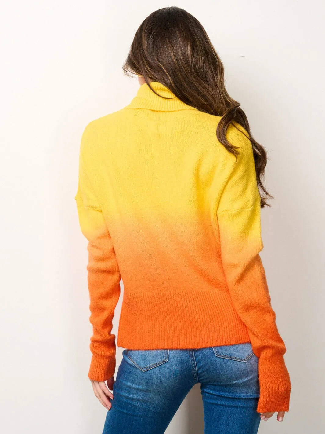 WOMEN'S LONG SLEEVE TURTLE NECK COLORBLOCK SWEATER