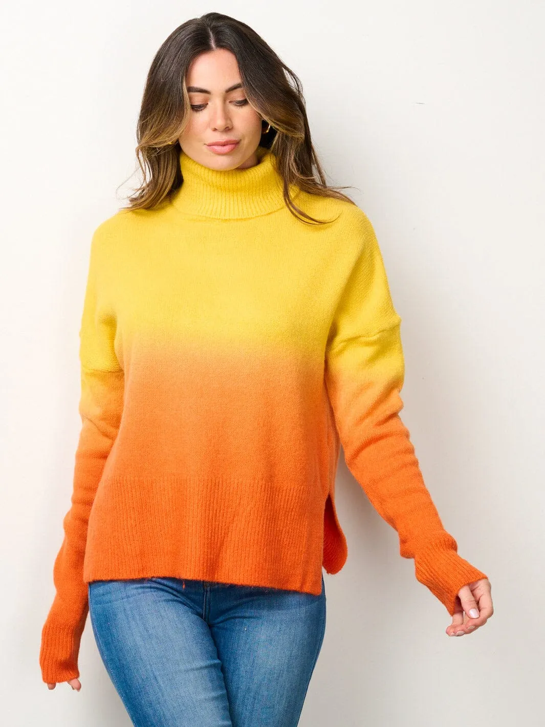 WOMEN'S LONG SLEEVE TURTLE NECK COLORBLOCK SWEATER